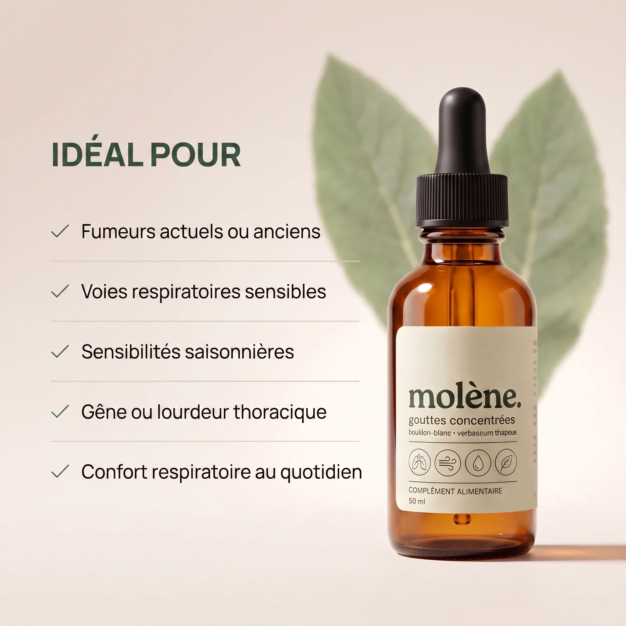 Welanova – Extrait de Molène - 50 ml